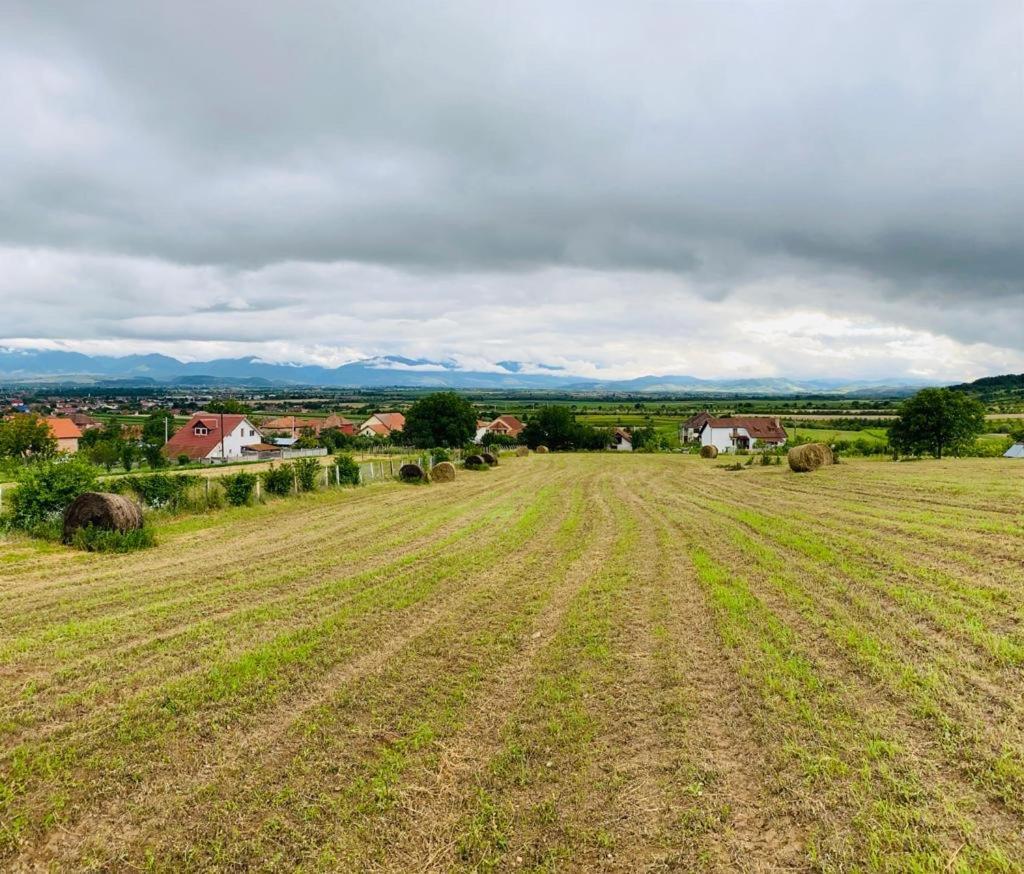 Vila Tara Hategului Exteriör bild