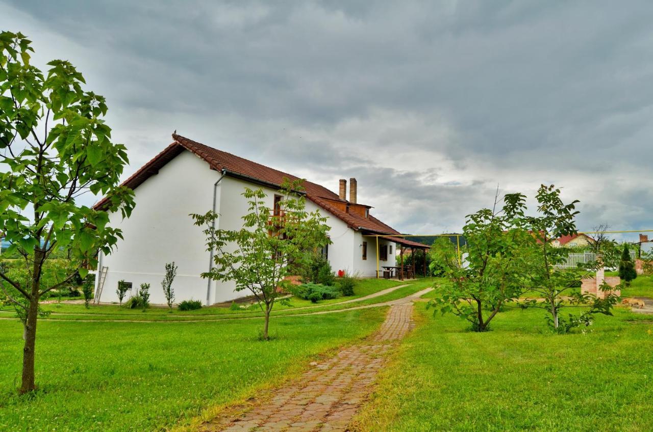 Vila Tara Hategului Exteriör bild
