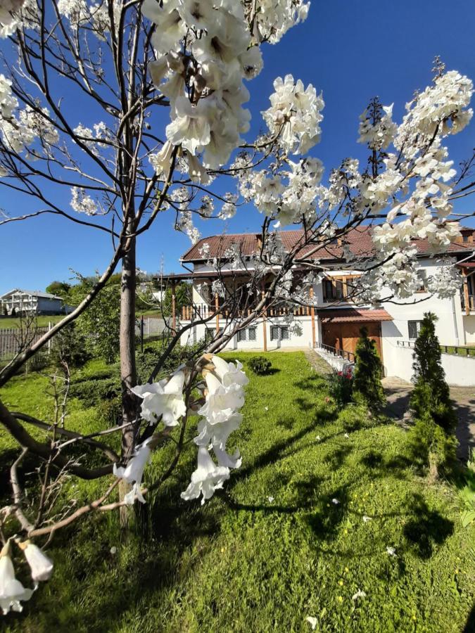 Vila Tara Hategului Exteriör bild