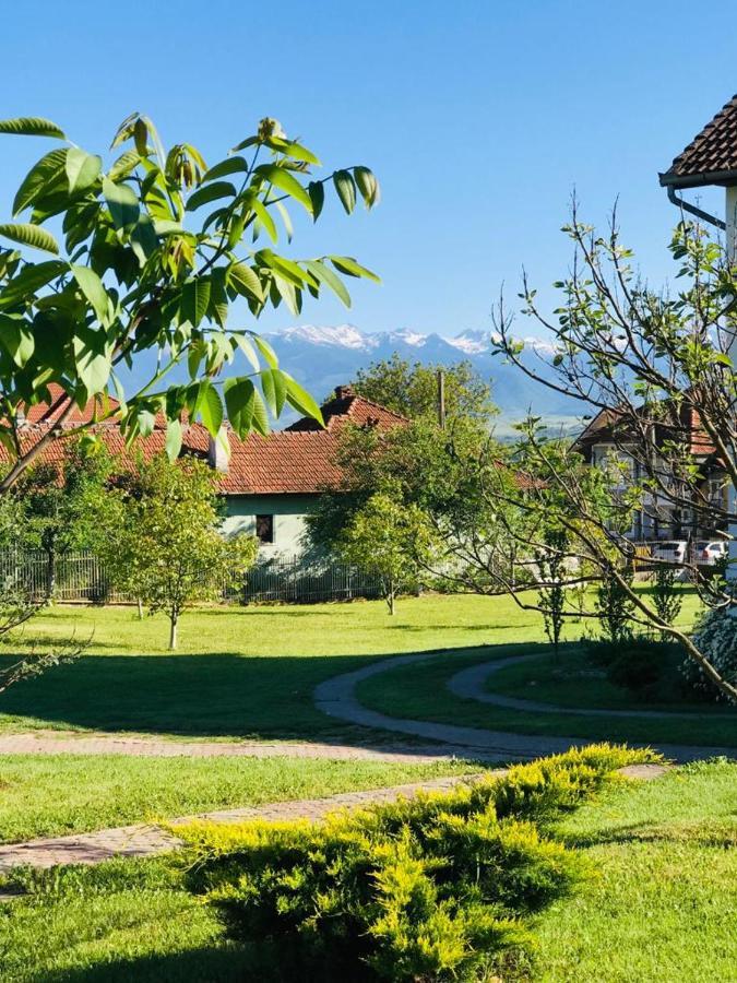 Vila Tara Hategului Exteriör bild