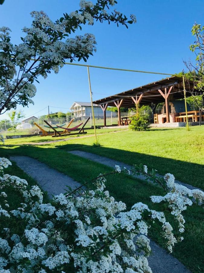 Vila Tara Hategului Exteriör bild